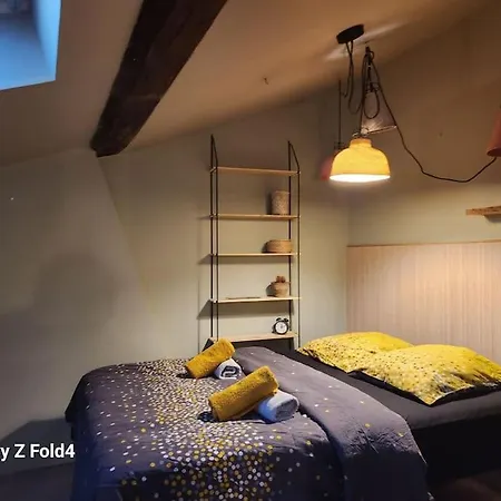 Nid Douillet Coeur Des Beaux-arts Apartment *